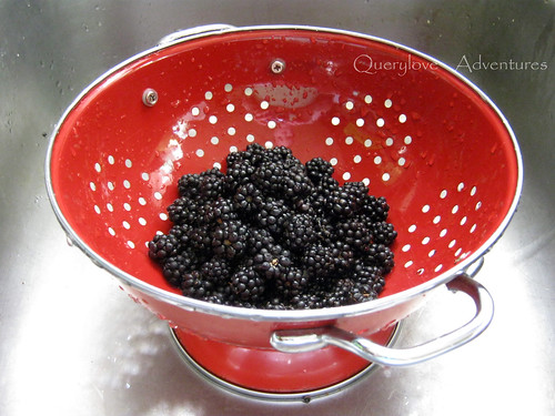 blackberries in colinder