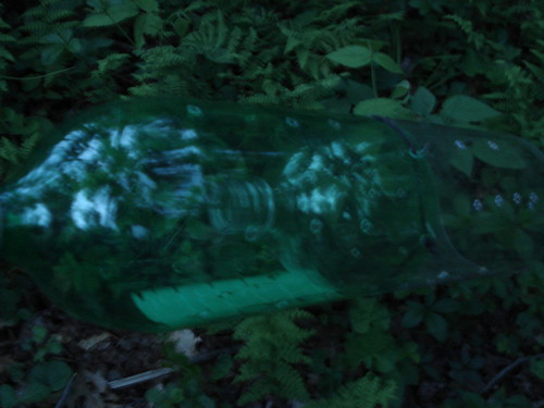 2 liter pop bottle fish trap
