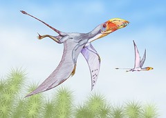 Dimitry Bogdanov - Dimorphodon (Wikipedia)