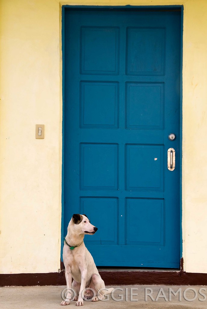 BP Batanes Sabtang Dog by the Blue Door