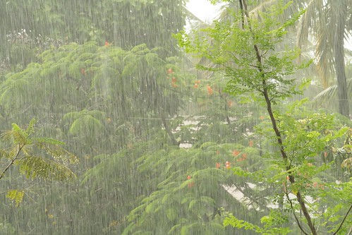 Monsoon..