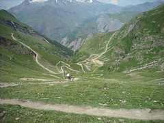 Alps Summer 2010