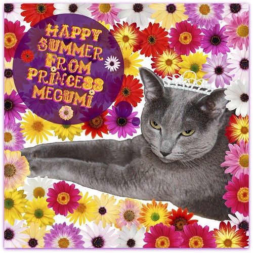 ❤ Happy Summer from Princess Megumi ❤