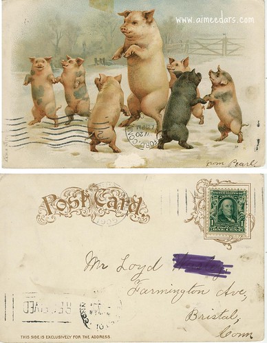 Dancing Pigs (1905)