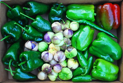 Peppers and Tomatillo Harvest