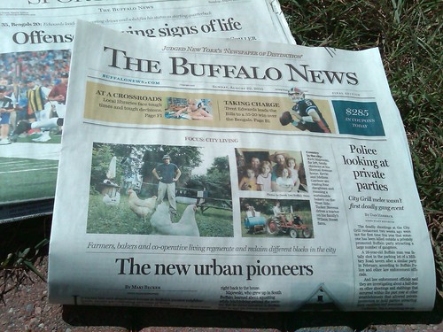 Buffalo news