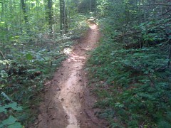  Turner Creek Trail - below grade trail leading to deposition 