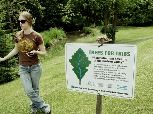 Trees for Tribs. 