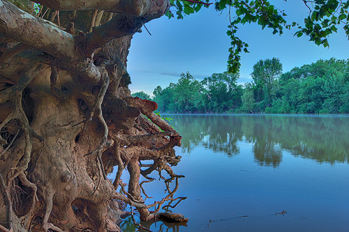 Tree roots and the Meramec River, at Emmenegger Nature Park, in Kirkwood, Missouri, USA - view at dusk