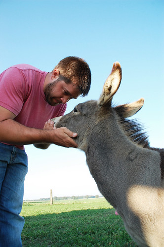 loves_donkeys