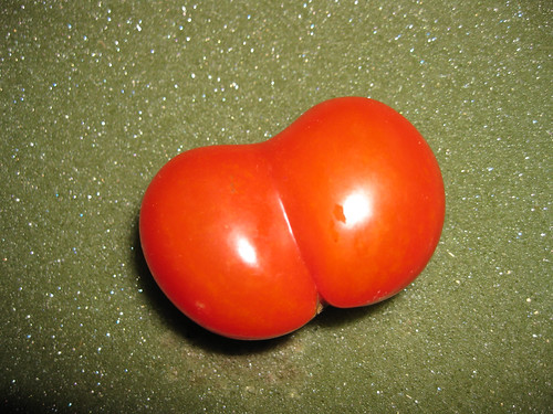 Conjoined Tomatoes