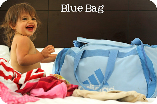 Blue Bag2 BLOG