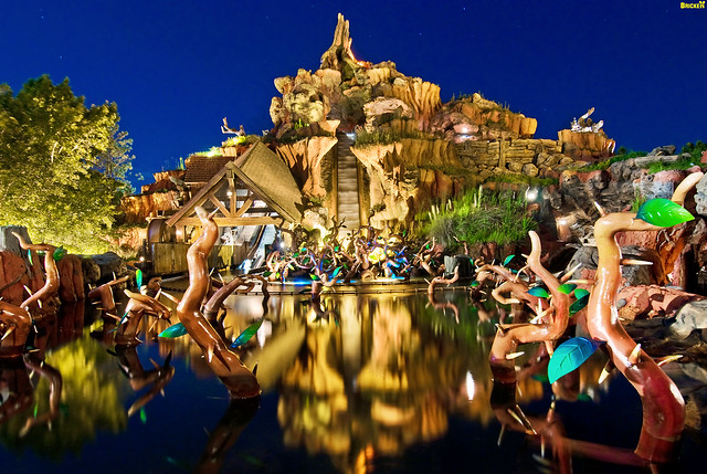 Walt Disney World - Splash Mountain Night Photo