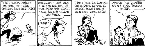 Calvin and HObbes Racoon p2