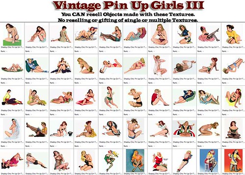 Shabby Chic Vintage Pin Up Girls III