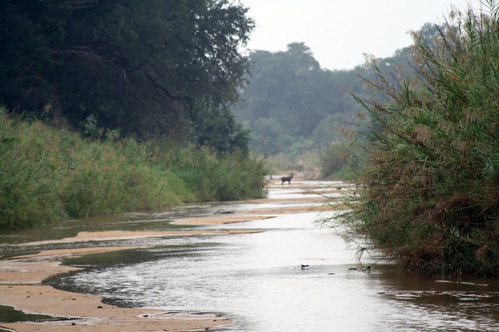 фото: Karongwe Game Reserve