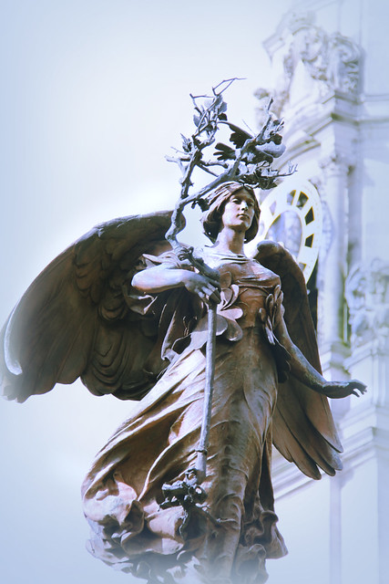 Stature - Cardiff Angel