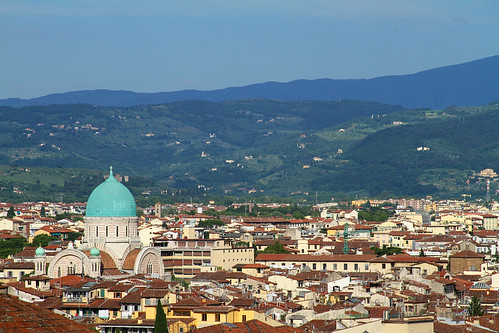 Florence Tower View