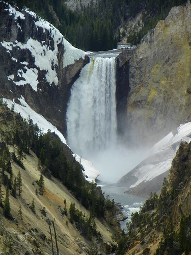 Yellowstone's Lower Falls