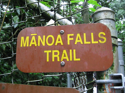 Arriving at the trail for Manoa Falls