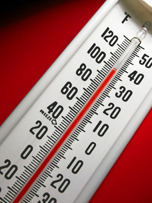 Heat wave ignites climate change debate, 2010 warmest year ever