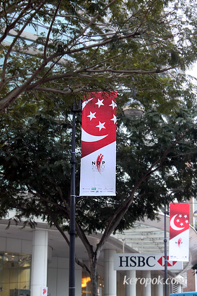 NDP2010 - The flags are up...