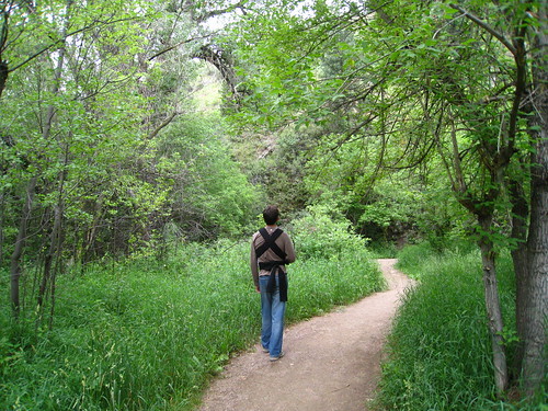Hiking along Bear Creek