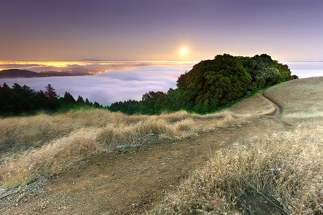 Tamalpais in Moonlight - Marin County, California by PatrickSmithPhotography