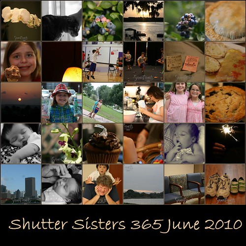 Shutter Sisters 365 June 2010-1
