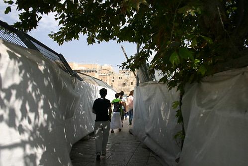 Ascending the Temple Mount