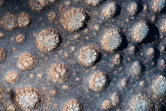 Mars landscape by arndt_100