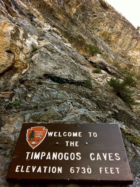 timpanogos cave