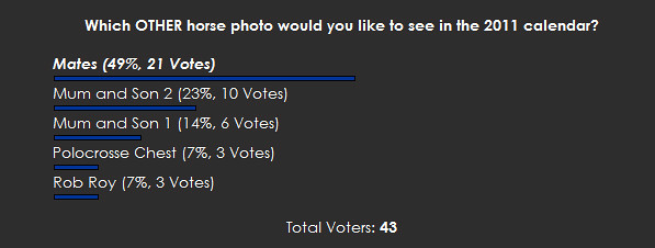 horse other poll