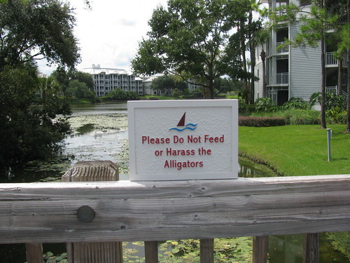 Do not feed the alligators at Marriott Cypress Harbor
