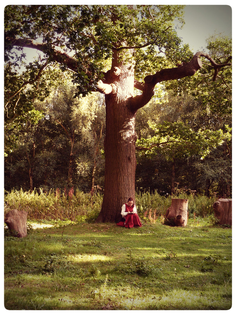 Herstmonceux Medieval Festival ~ maiden under a tree