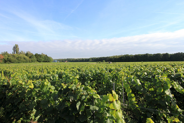 Dag van de Landbouw - Chardonnay Meerdael