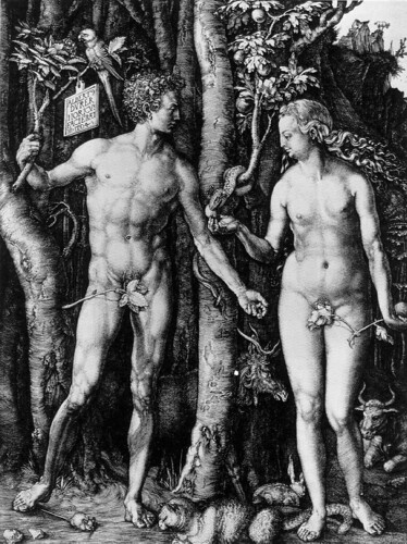 Adam and Eve, Albrecht Dürer, Engraving