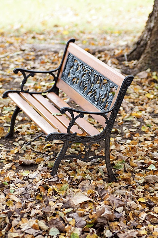 Bench and Leaves