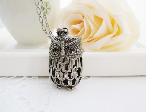 owl, jewelry, necklace, beautiful