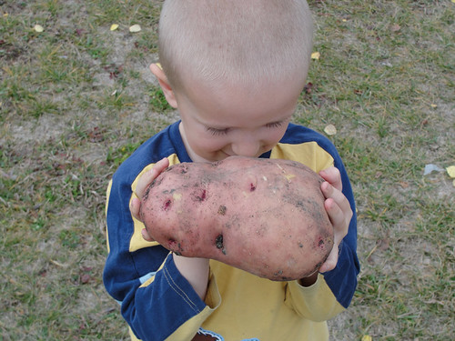 Jabin with Bob the Potato 1