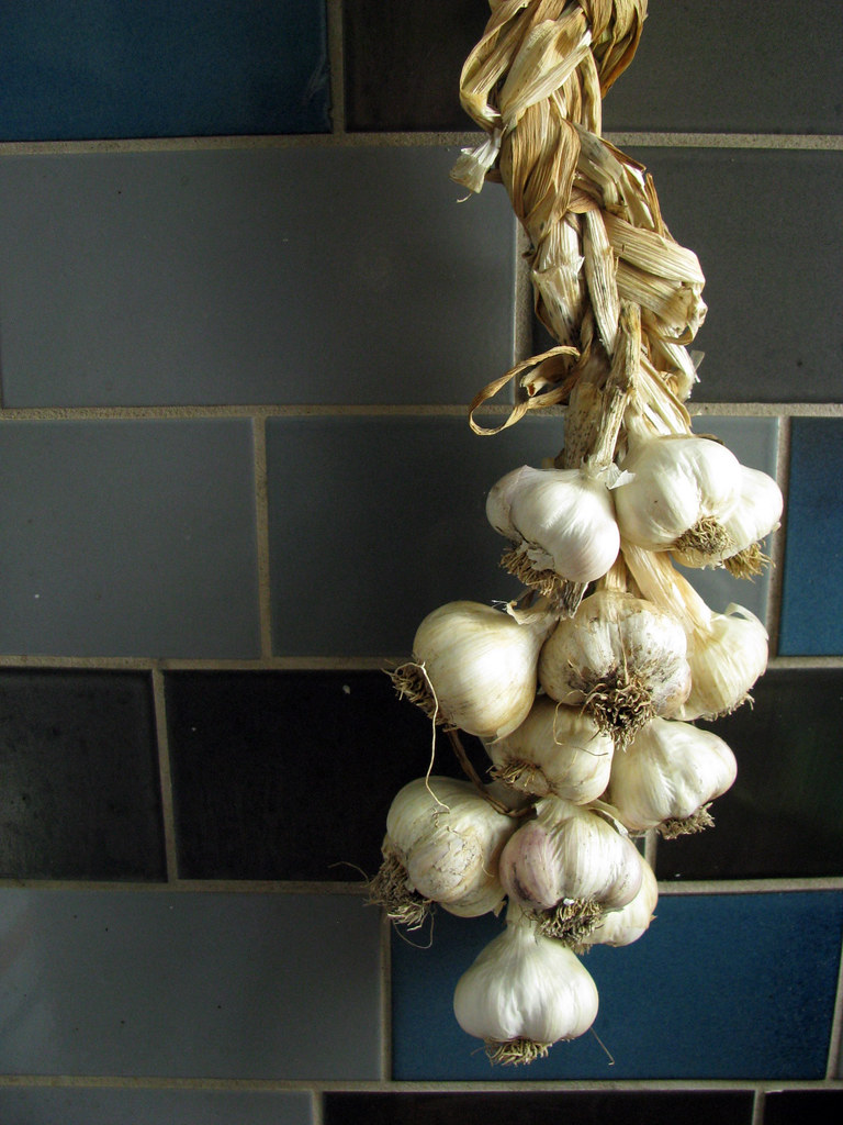 garlic braid