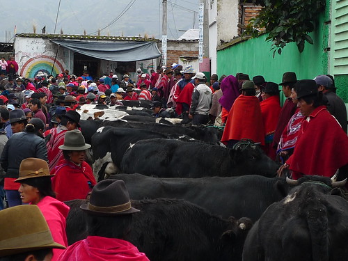 Thursday Market - Guamote, Ecuador
