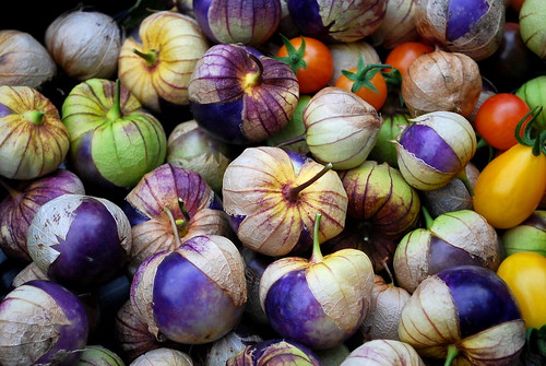Purple Tomatilloes