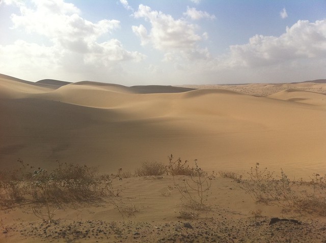 The Dunes of the Yuha Desert