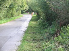 Cleared verges along Bond Lane