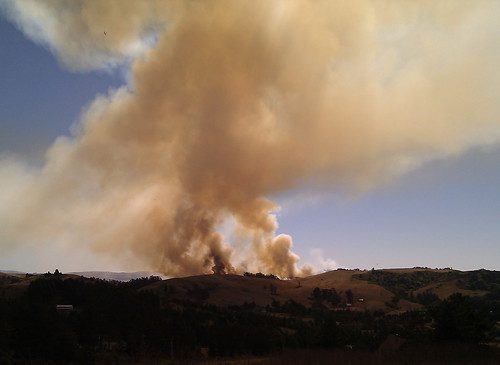 Wildfire near Bodega