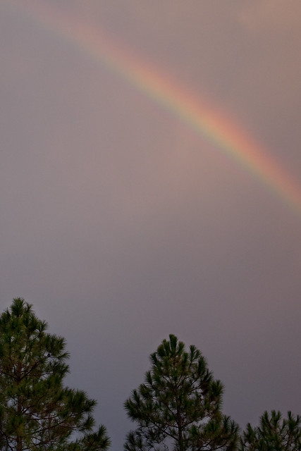 344/365 - Afternoon Rainbow
