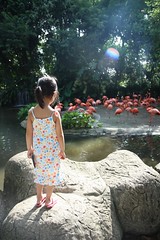 at jurong bird park