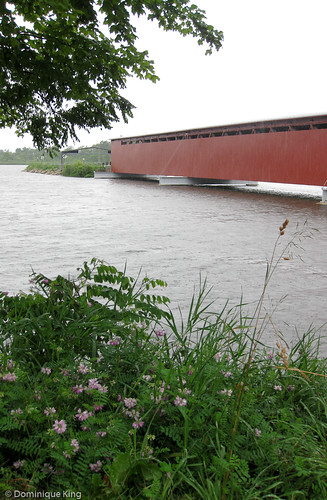 Langley Covered Bridge-Michigan-2