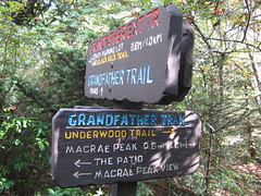 Junction - Grandfather Trail